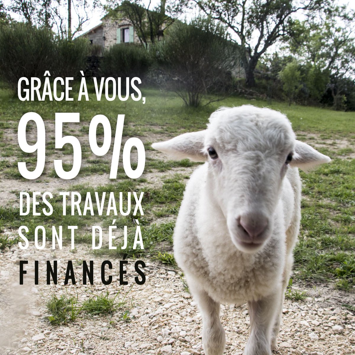 AltervitaAsso's tweet photo. Encore 30 jours pour atteindre les 100% et pouvoir agrandir le refuge cet été. Cette campagne annonce de beaux lendemains pour tous les futurs protégés d'Altervita. 
Merci à tous pour votre générosité. https://t.co/CsyiNA0GJc https://t.co/TwWadPqvcz