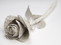 Train your #muse buff.ly/2ITWzu9 on The Roses of Prose. #RomanticSuspense #AHAgrp