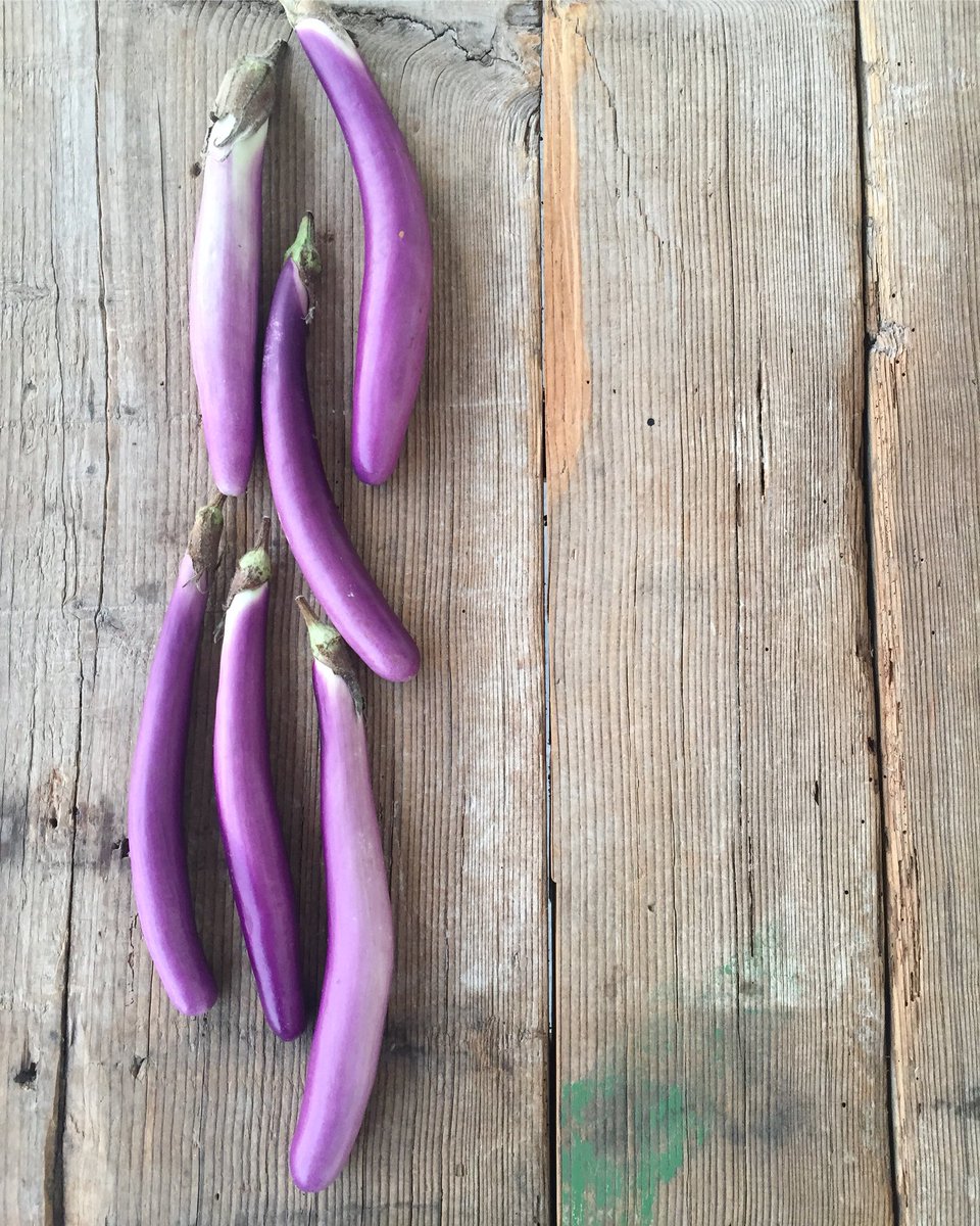 daniela stratta tweet media