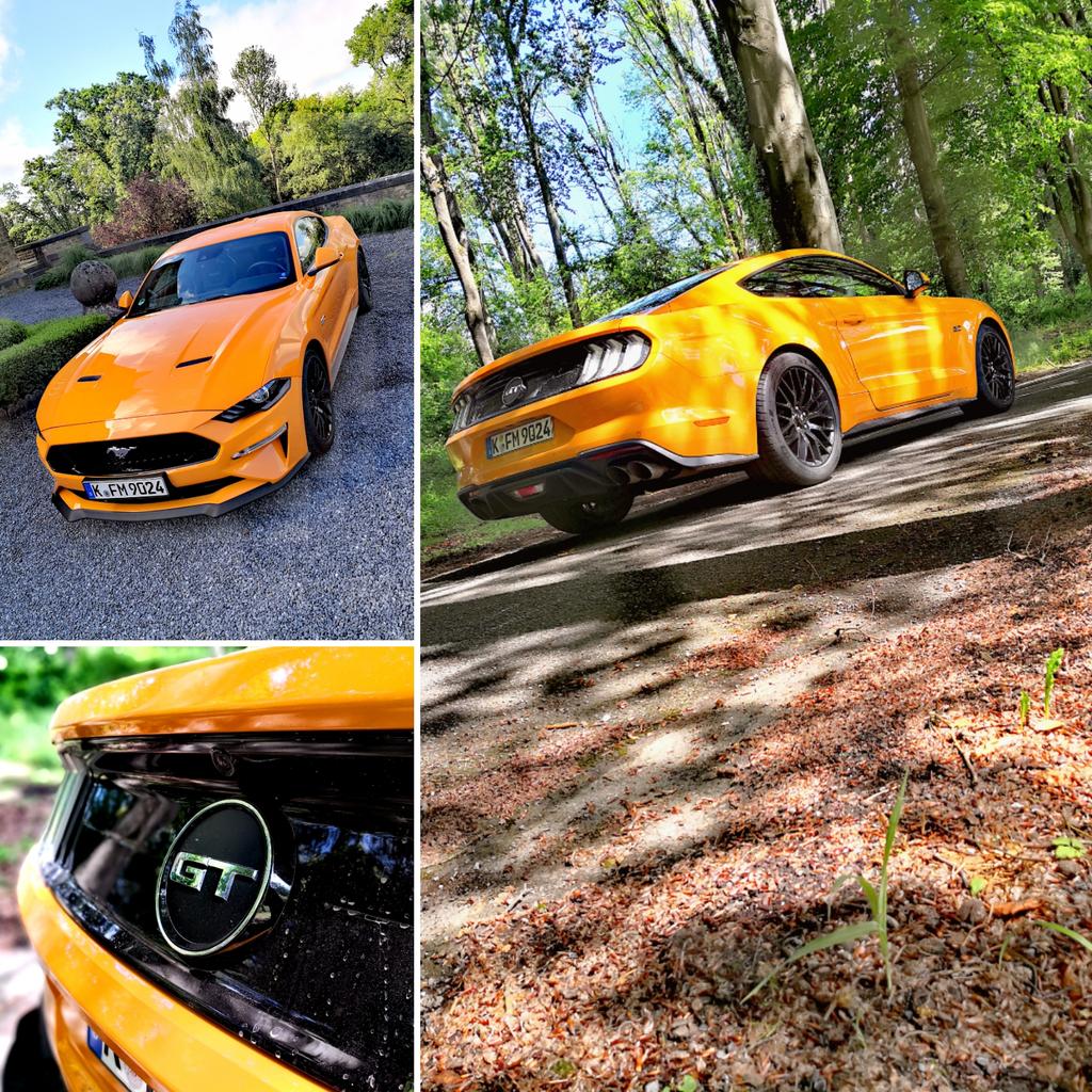Spiderdimit's tweet photo. What a nice day with this amazing Ford Mustang๐๐ @FordBelgique @Ford @JoDeClercq1 #ford #fordmustang #mustang #v8power #musclecar #fun #exoticcars #pleasure #drive #goodmoments #goodvibes #orangemecanic #power #drivedifferently https://t.co/RkrnC87g9m