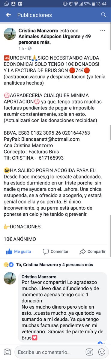 BrusBusca's tweet image. Seguimos necesitando donaciones urgente, cualquier ayuda es bien recibida !! Rt por favor. #brus #AdoptaNoCompres