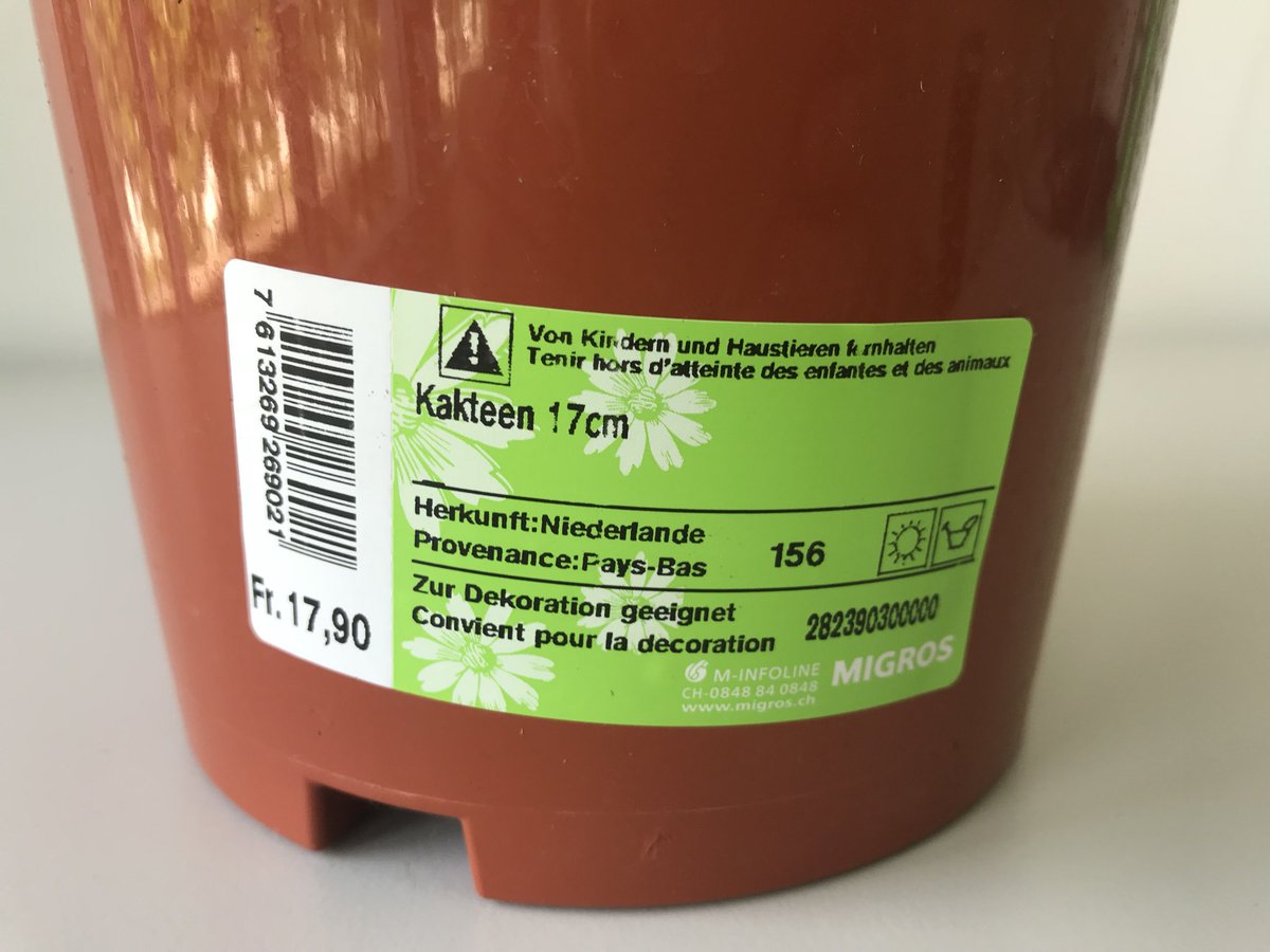 stellar_stone's tweet photo. Liebe @migros, ihr verkauft Kakteen wo weder draufsteht was es für einer ist, noch die Verkäuferin diese Frage beantworten kann. There is room for improvement... https://t.co/yYM9BAFsl7