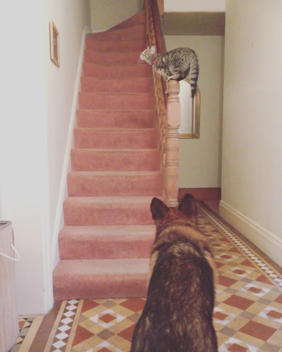 Caption this half term madness 😂 #WorcestershireHour