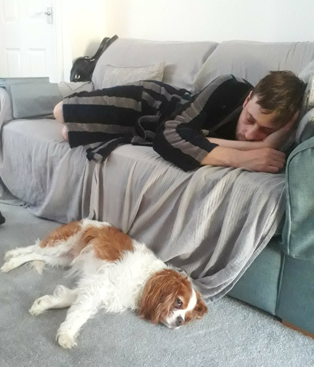 SneakyCavaliers's tweet photo. 2nd nap of the day with dad! #snooze #izzycav #cavpack #cavalierkingcharles https://t.co/RlHprekZ7J