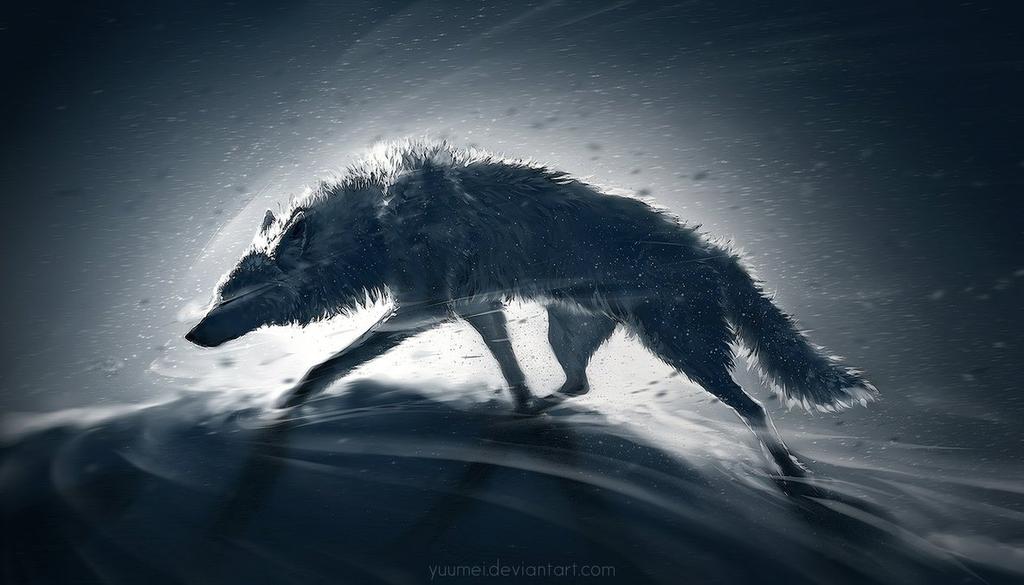 ° ŁONE • WØLF.🐺 ° tweet media