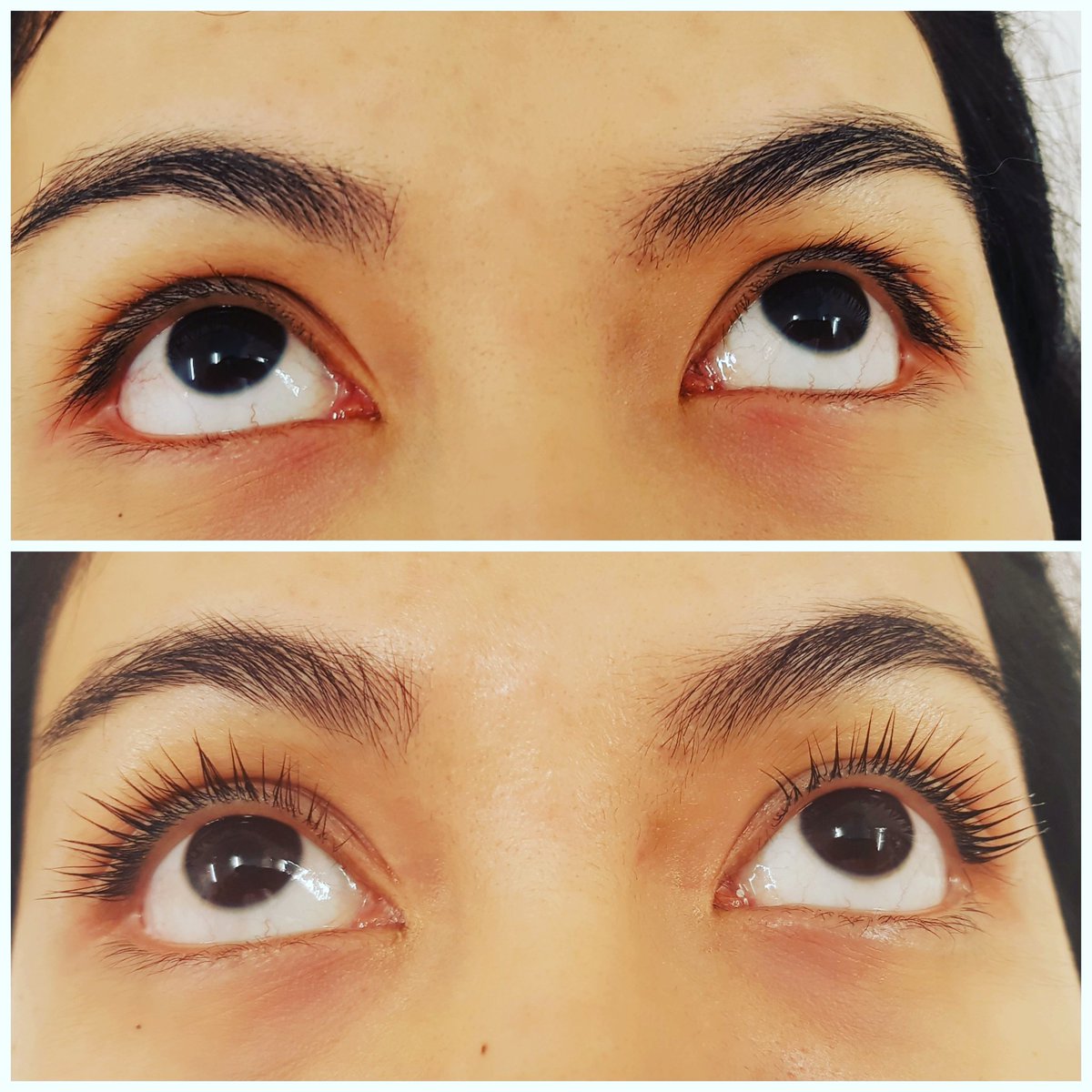 BiosphericSouth's tweet photo. Lifted &amp; curled lashes - #lvl https://t.co/SC581eFu9X