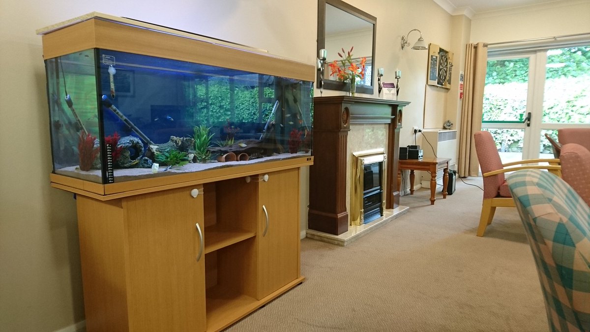 StJohnsCourt_AT's tweet photo. Our beautuful new #aquarium @StJohnsCourt_AT #percymain #calm #tranquil #peaceful https://t.co/4AIU1JNRrB