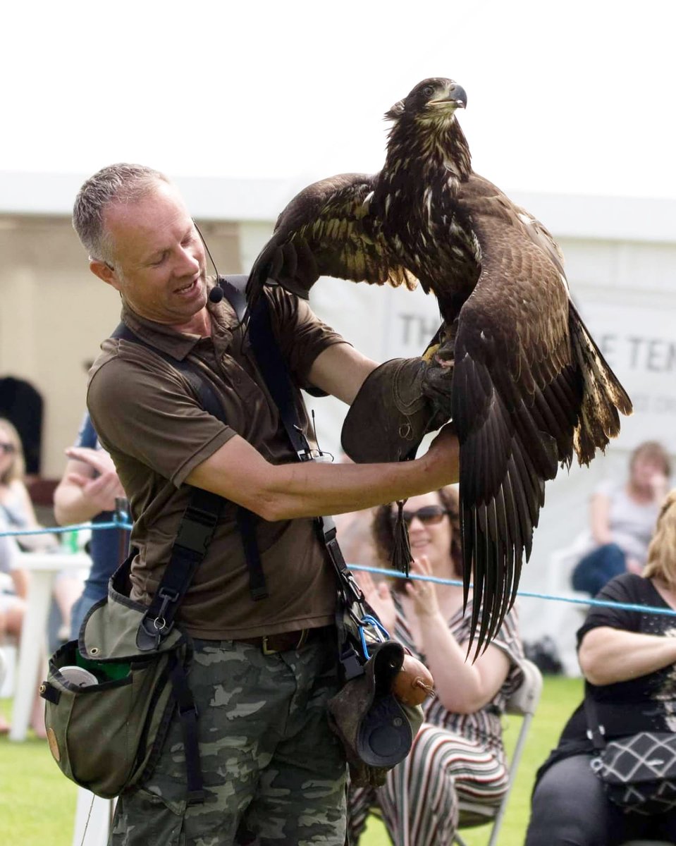 WORZEL the young bald eagle just landed after putting on a show stopper of a soaring display. Thanks Zai for the image!