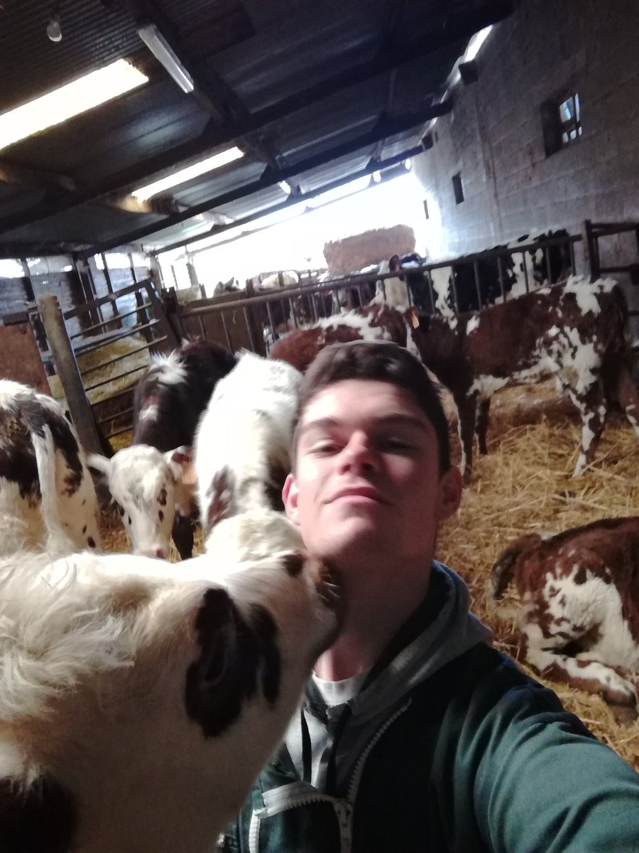 Théo, Futur Éleveur 🐄☘️🐮 tweet media