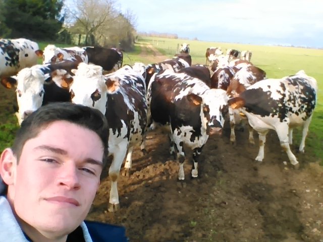 Théo, Futur Éleveur 🐄☘️🐮 tweet media