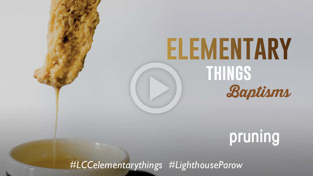 LighthouseParow's tweet photo. You can download, or listen to Sunday's message (part of the #LCCelementarythings series), by Ps Nigel Brown, here:
Highlights: https://t.co/gPNKhw4iA8
Full message: https://t.co/i7JzKGuHOO
#LighthouseParow
#pruning https://t.co/Dhn7k10Zf8