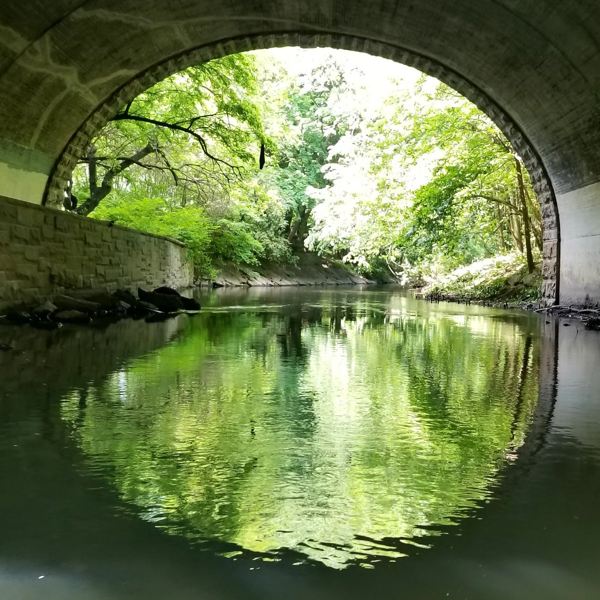 NYCs only fresh water river, the Bronx River, May 26, 2018, captured during the <a href="/BxRiverAlliance/">Bronx River Alliance</a> 's Flotilla, under Gun Hill Rd #LovingTheBronx #ExperiencetheBronx