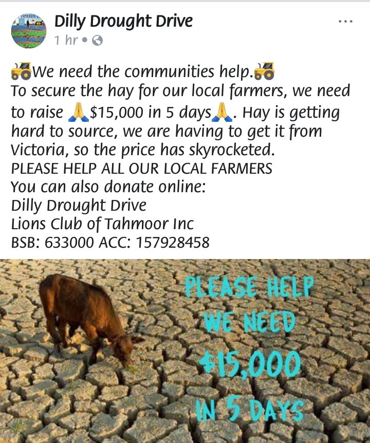 AussiesSptYrLclFrmer (@aussiessylf) on Twitter photo 