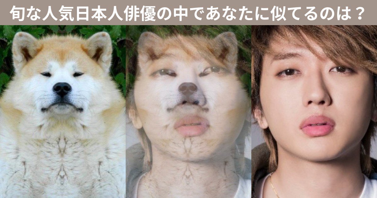 ボニボニア على تويتر 旬な人気日本人俳優の中であなたに似てるのは T Co Fdkvhrumgn Quizjam Ja 旬な人気日本人俳優の中であなたに似てるのは