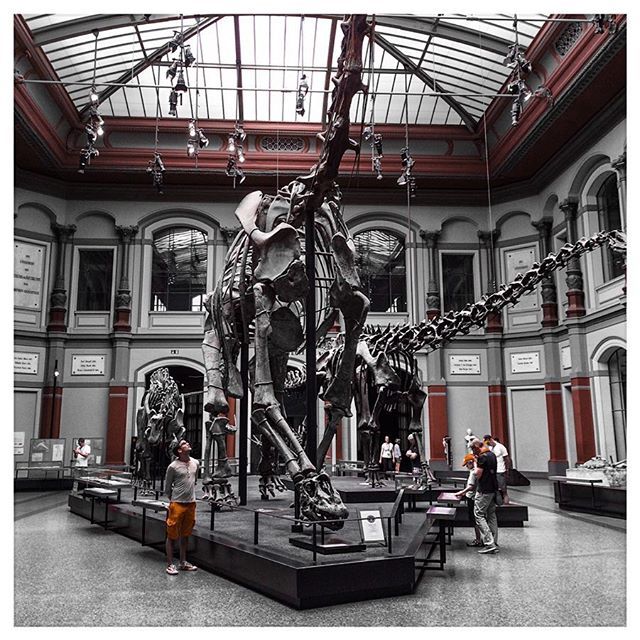 cogries's tweet photo. Meeting with the #dynosaur
#museum #naturkunde #berlin #igersmuseum #bones https://t.co/JNRXHN3sK7 https://t.co/pjMrsS8WpK