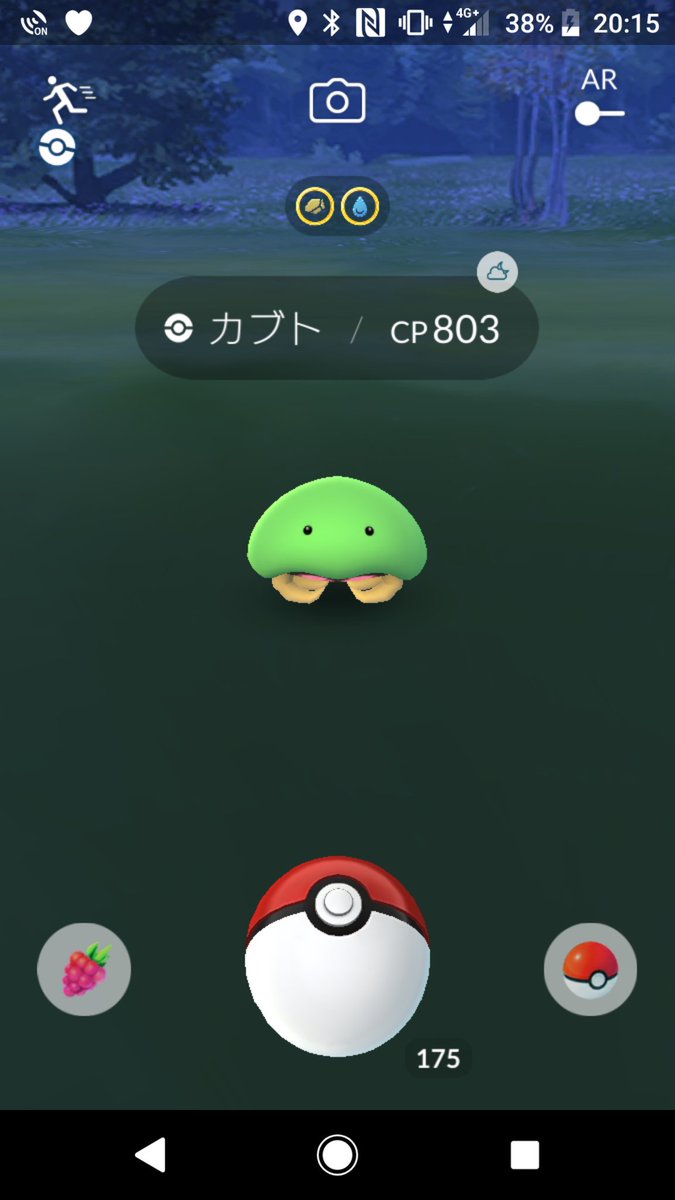 アンダーカバー Twitterissa ちまたで噂の メロンパン カメムシ 色違いカブトをようやくゲットしました オムナイト プテラがいまだに出ずw あー時間ねーよwww アローラまできて本当にポケモンに殺されるw