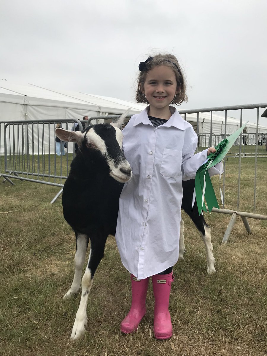 MarriagesFeed's tweet photo. Congratulations to all the junior goat handlers at the @SuffolkShow #goatshow #winners #juniors #nextgeneration #MarriagesFeed https://t.co/jQ7zt6DILf