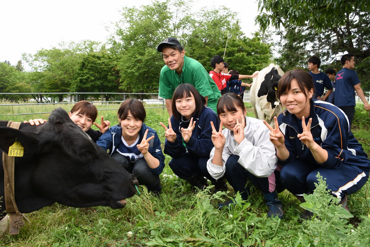 宇都宮大学農学部附属農場 U U Farm 附属農場のウシたちは みんなとてもフレンドリーです Uufarm 宇都宮大学 宇都宮大学農学部 宇都宮大学農学部附属農場 乳牛 ウシ 宇都宮大学農学部附属農場 U U Farm 附属農場のウシたちは みんなとてもフレンドリーです Uufarm 宇都宮大学 宇都宮大学農学部 宇都宮大学農学部附属農場 乳牛 ウシ