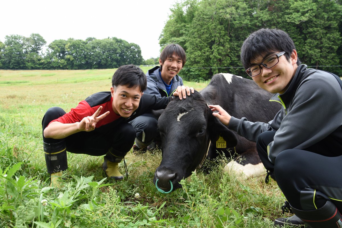 宇都宮大学農学部附属農場 U U Farm 附属農場のウシたちは みんなとてもフレンドリーです Uufarm 宇都宮大学 宇都宮大学農学部 宇都宮大学農学部附属農場 乳牛 ウシ 宇都宮大学農学部附属農場 U U Farm 附属農場のウシたちは みんなとてもフレンドリーです Uufarm 宇都宮大学 宇都宮大学農学部 宇都宮大学農学部附属農場 乳牛 ウシ