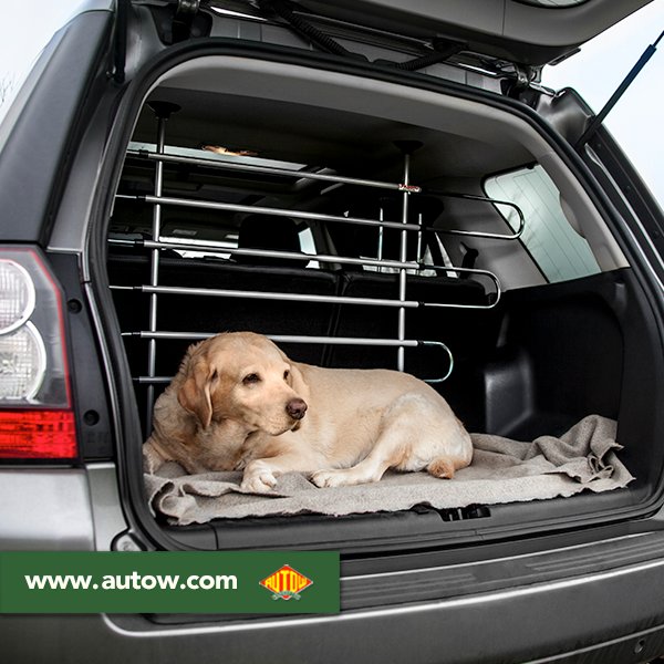 AutowWarehouse's tweet image. Have you recently welcomed a four-legged friend into the family? Take a look at our dog guards to keep muddy paws in the back! autow.com/roof-racks/dog…
