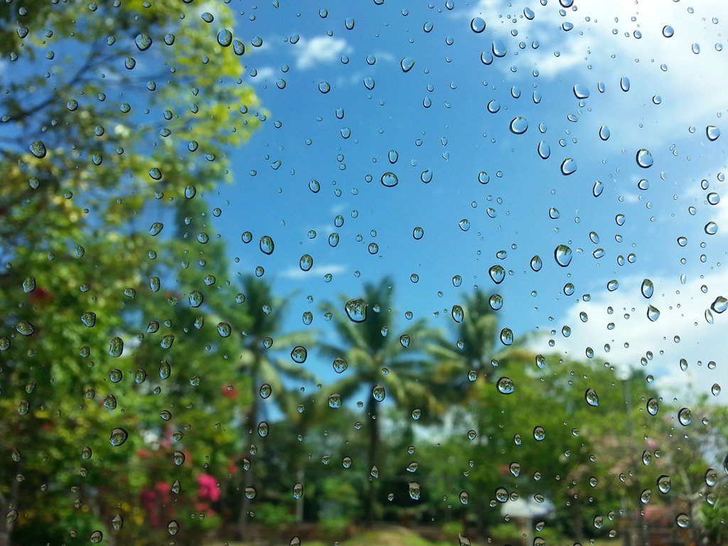 dotsnlace's tweet photo. Rolling Rain https://t.co/AIUwbycsaV https://t.co/1RimA7qpVi