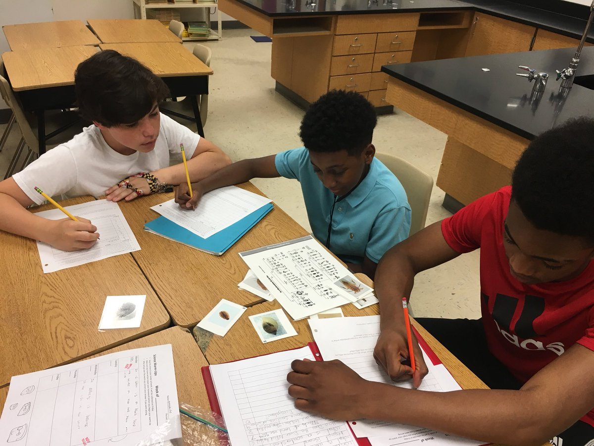 HaleyYorks's tweet photo. Classifying macroinvertsbrates! @hcpss_mhms https://t.co/GDhscmaWwm