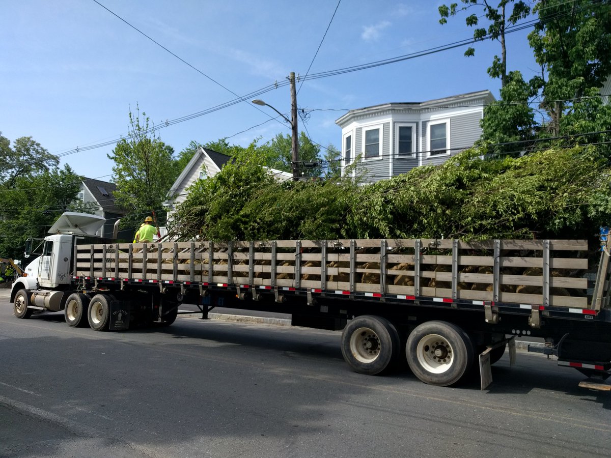 beaconSt02143's tweet photo. Thanks @MassDOT for the trees! It's still the month of Mothers Day so I shall interpret it as you acknowledging that I'm in Mother of all street construction projects <3 #holes #goals PS I will miss those #hole covers https://t.co/IfUNgLjLIE