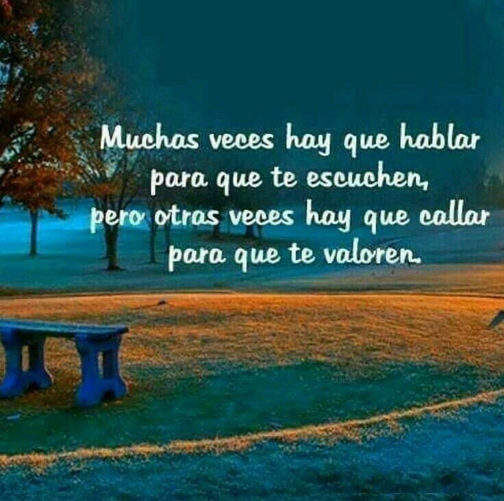 chicuela's tweet photo. https://t.co/24R4pdCj0e