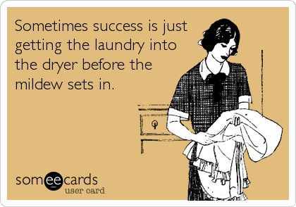 GinaValley's tweet photo. Using that standard, I have been less than successful this week!!!
#thereisalwaysnextweek #laundryisthedevil #giggles https://t.co/Wsm21uCBvl