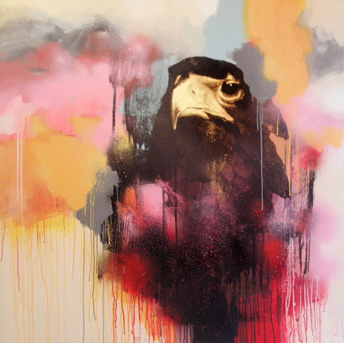 James Starr tweet media