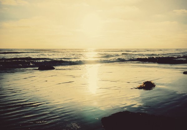 pciassembly's tweet photo. New #pciblog: Tom Finnegan reflects on the questions that can arise out of bereavement, highlighting a new resource from PCI designed to give biblical answers to a number of typical questions asked by Christians struggling with grief. You can read it here: https://t.co/mfU72TFvW5 https://t.co/humDHxDDp5