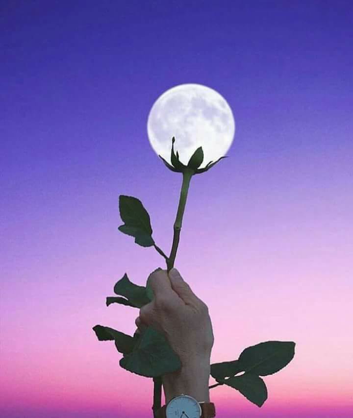 لا أحد يمتلك حياة كاملة ولا قلبا خاليا ولا رأسا خفيفا من الأعباء ولكن هناك من يدعوا الله ويبتسم 😊
الحمدلله دائما وأبدا..! ♡