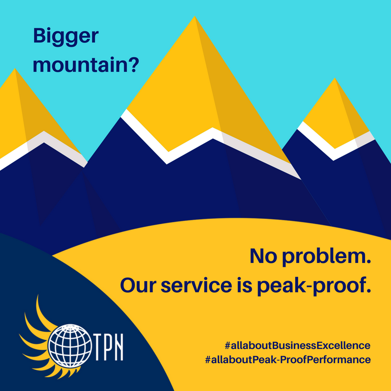 THE Pallet Network tweet media