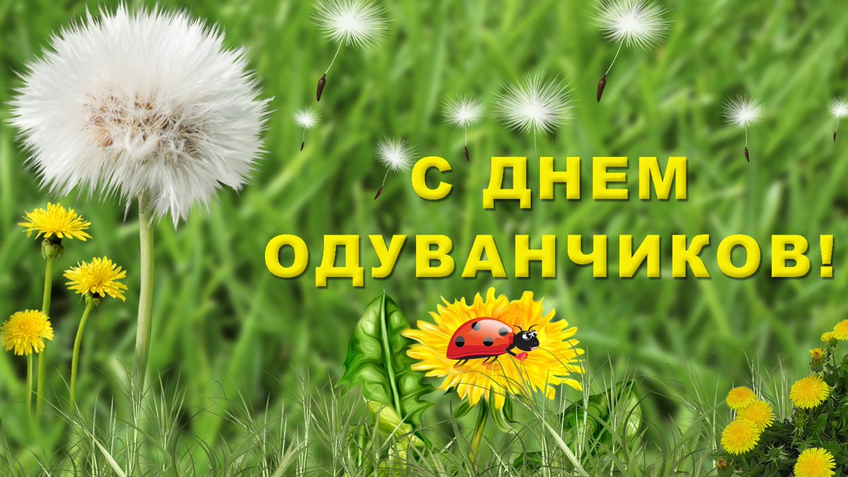 поздравления день одуванчиков или визажист