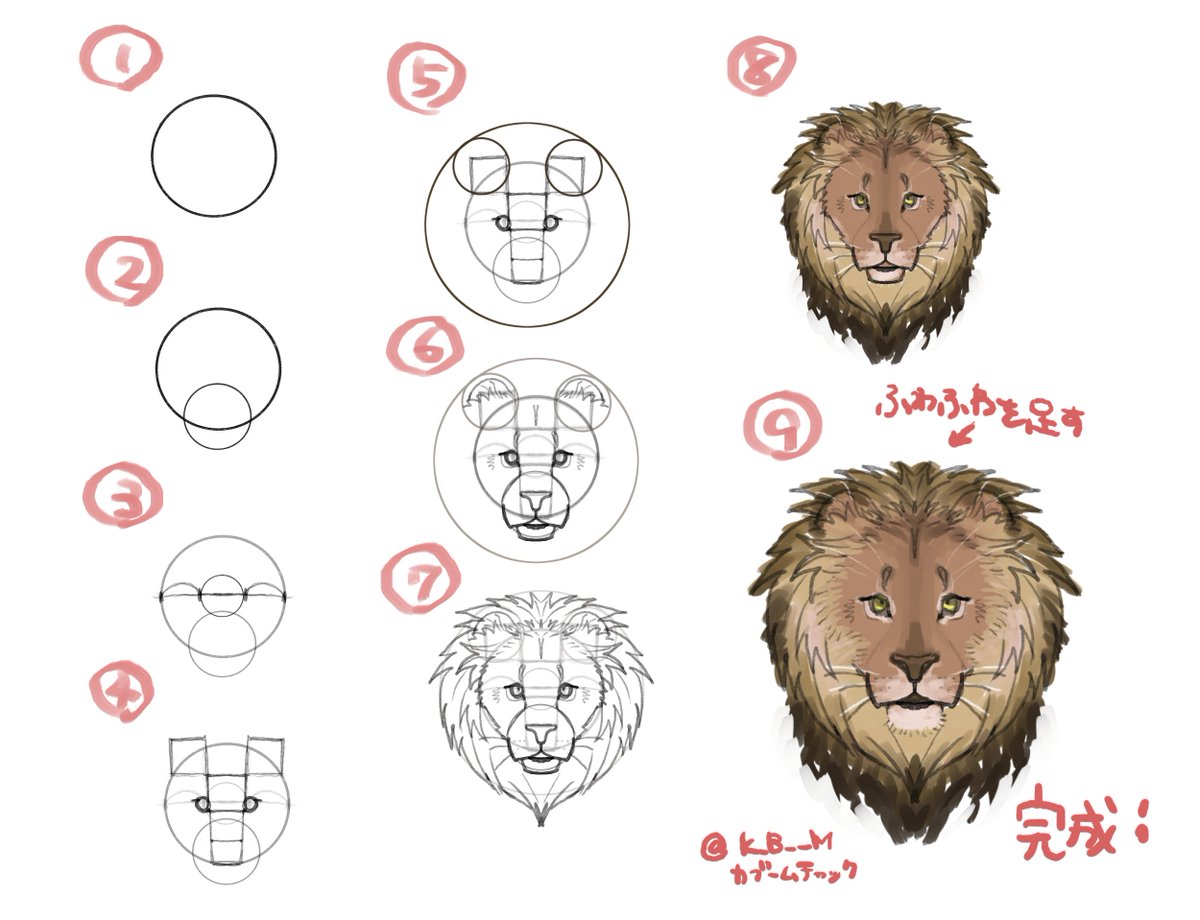 かぶーむちゃっく ライオンの簡単な描き方をやろうとしたら急に難易度が上がったので 見てお楽しみください T Co Lpq9dnneer Twitter