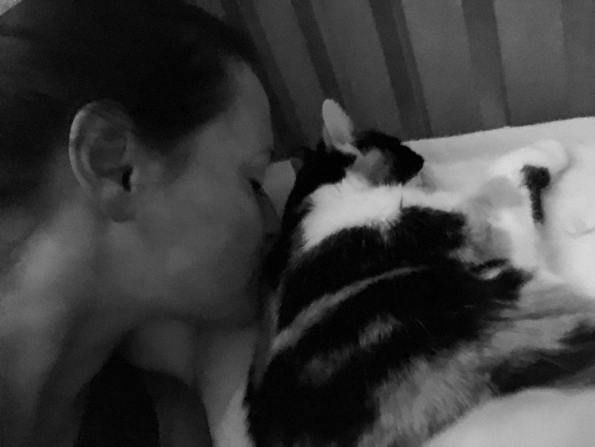 TashaMarie206's tweet photo. Prissy healing.
#MySweetDreamsAreMadeOfThese
#WednesdayWisdom
#Pray4Prissy https://t.co/jlb3ctsvz5