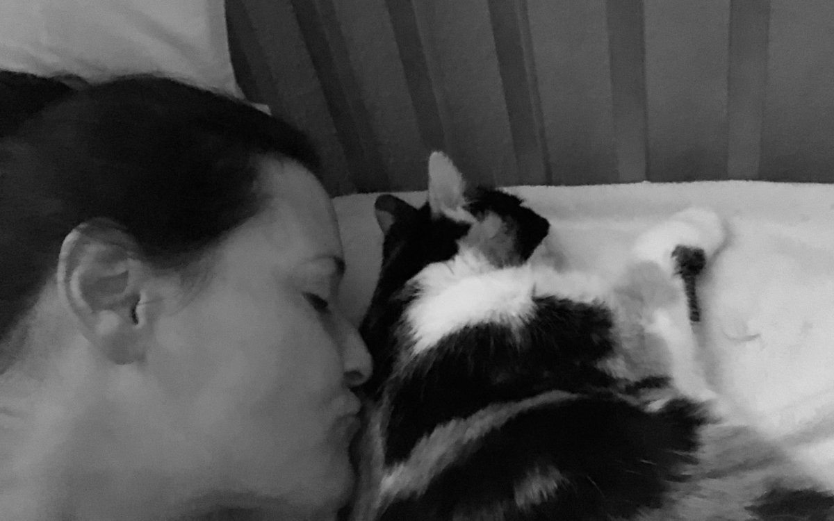 TashaMarie206's tweet photo. Prissy healing.
#MySweetDreamsAreMadeOfThese
#WednesdayWisdom
#Pray4Prissy https://t.co/jlb3ctsvz5