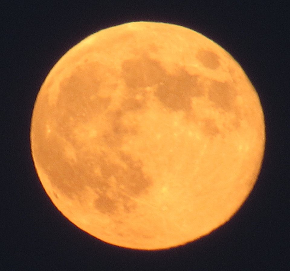 DonegalDaytrip's tweet photo. https://t.co/ma1nogco5h
Hard to beat the #sunsets and #fullmoon you get during an #irishsummer.
#wildatlanticway #donegal #orangemoon #redsunset #irishsunset #donegalsunset #irishfullmoon #wildatlanticsunset #ireland #irish #greatspellofweather #greatdrying #donegaldaytripper https://t.co/zVOWx6wOsv