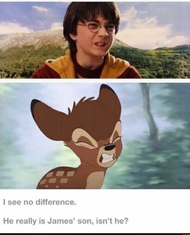 ChristiB21's tweet photo. If you Don't get this, how are we friends, lol #countrygirl #Kentucky #potterhead @ChefShwasty https://t.co/iHPJ1cn5aX