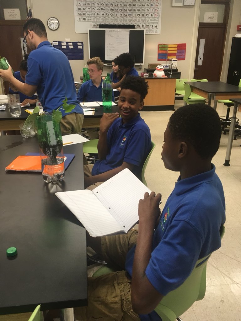 I can analyze and interpret ecosystem data.