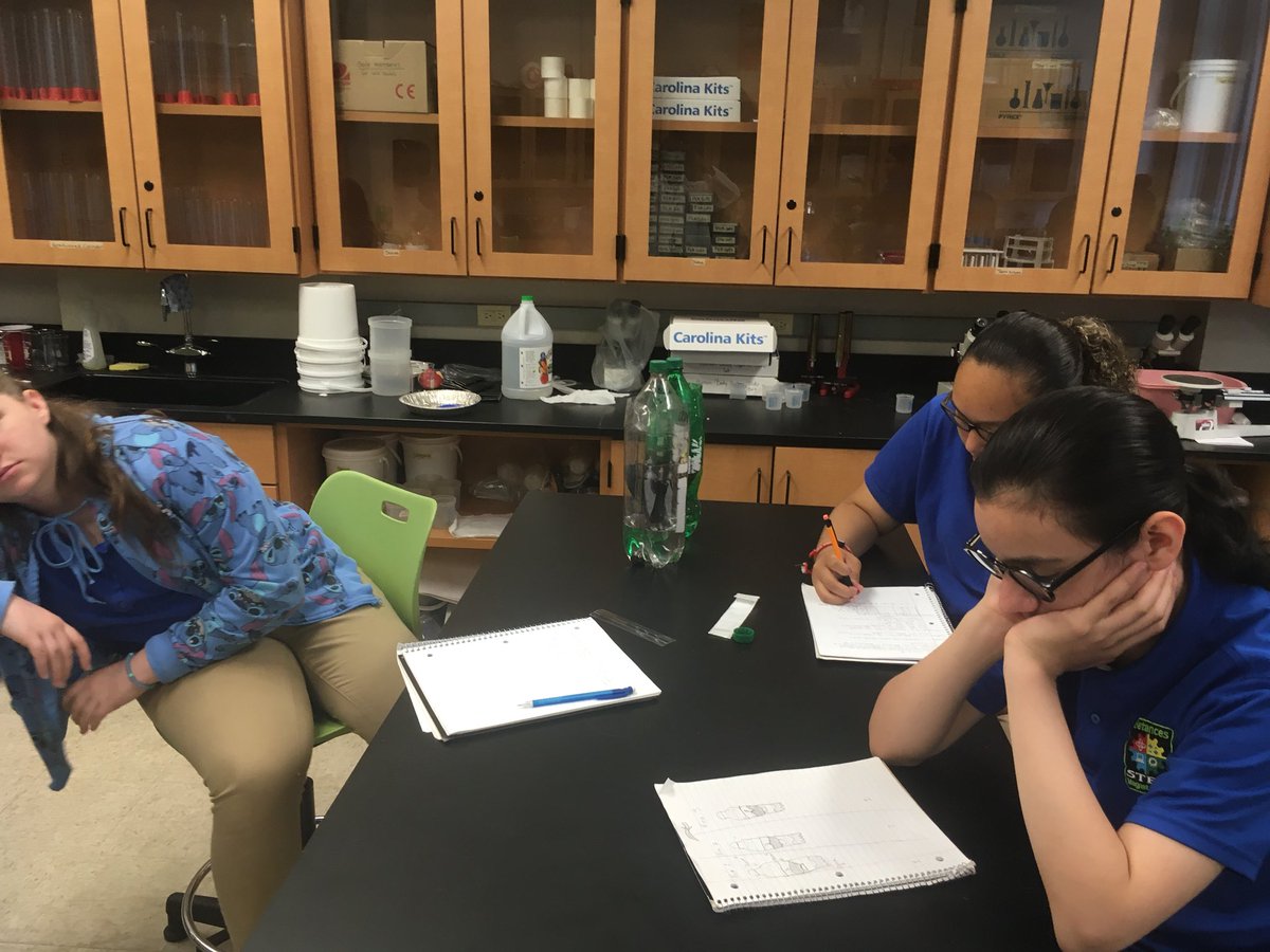 I can analyze and interpret ecosystem data.