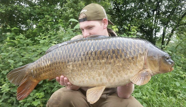 karperltd's tweet photo. Last knockings for KARPER Consultant Karl Butler, 20lb 2oz of gold falling to the KARPER Ultra-Fluro Chocmint popup Over the RS.#KarperLtd #karperltd #karperbaits #commoncarp #carpfishing https://t.co/7jscj8irw0