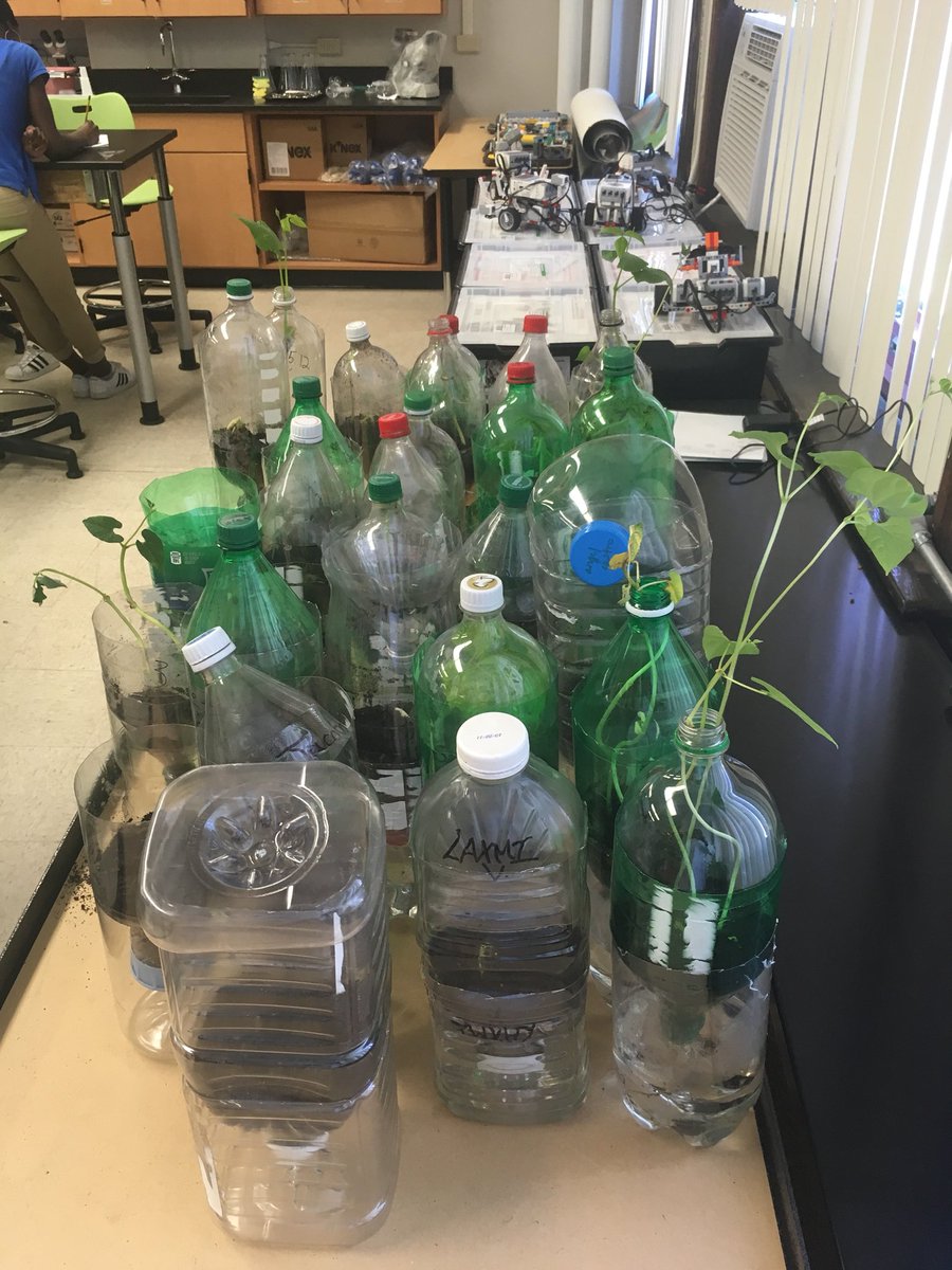 I can analyze and interpret ecosystem data.