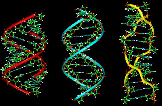 structuralbiol1's tweet photo. Technical advances in cryo-electron microscopy (cryo-EM) are revolutionizing structural biology explore about it at 14th International Conference on Structural Biology 2018
#Frontiers_in_Structural_Biology #Molecular_Modelling #Molecular_Dynamics #Structural_Biology https://t.co/nIcwy0sX0l