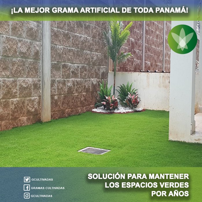 GCultivadas's tweet photo. #20 años lleva #GramasCultivadas comprometidos en mejorar los espacios naturales de Panamá. ¡Contáctenos y forme parte de la historia! 🍃👏🏻👏🏻🍃
📞: 60904961 o 62 - 3926102 o 03📍 https://t.co/C9keeOZqeT