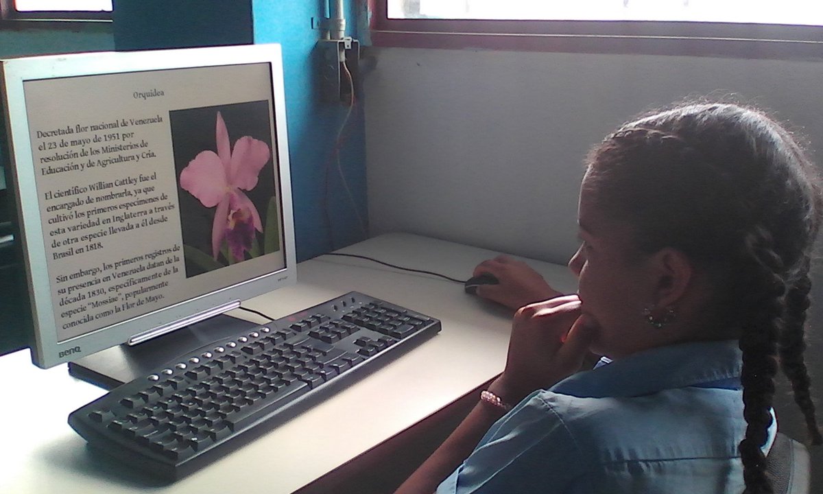 CBITLosCardones's tweet photo. Hermosa Orquídea símbolo natural de nuestro país, estudiantes honrando la flor nacional en @CBITLosCardones @cbitcarabobo @vane_prieto @Fundabit @MPPEDUCACION @JauaMiranda https://t.co/qnHbGv7mLf