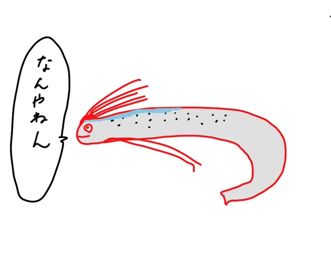 リュウグウの使いやあらへんで 