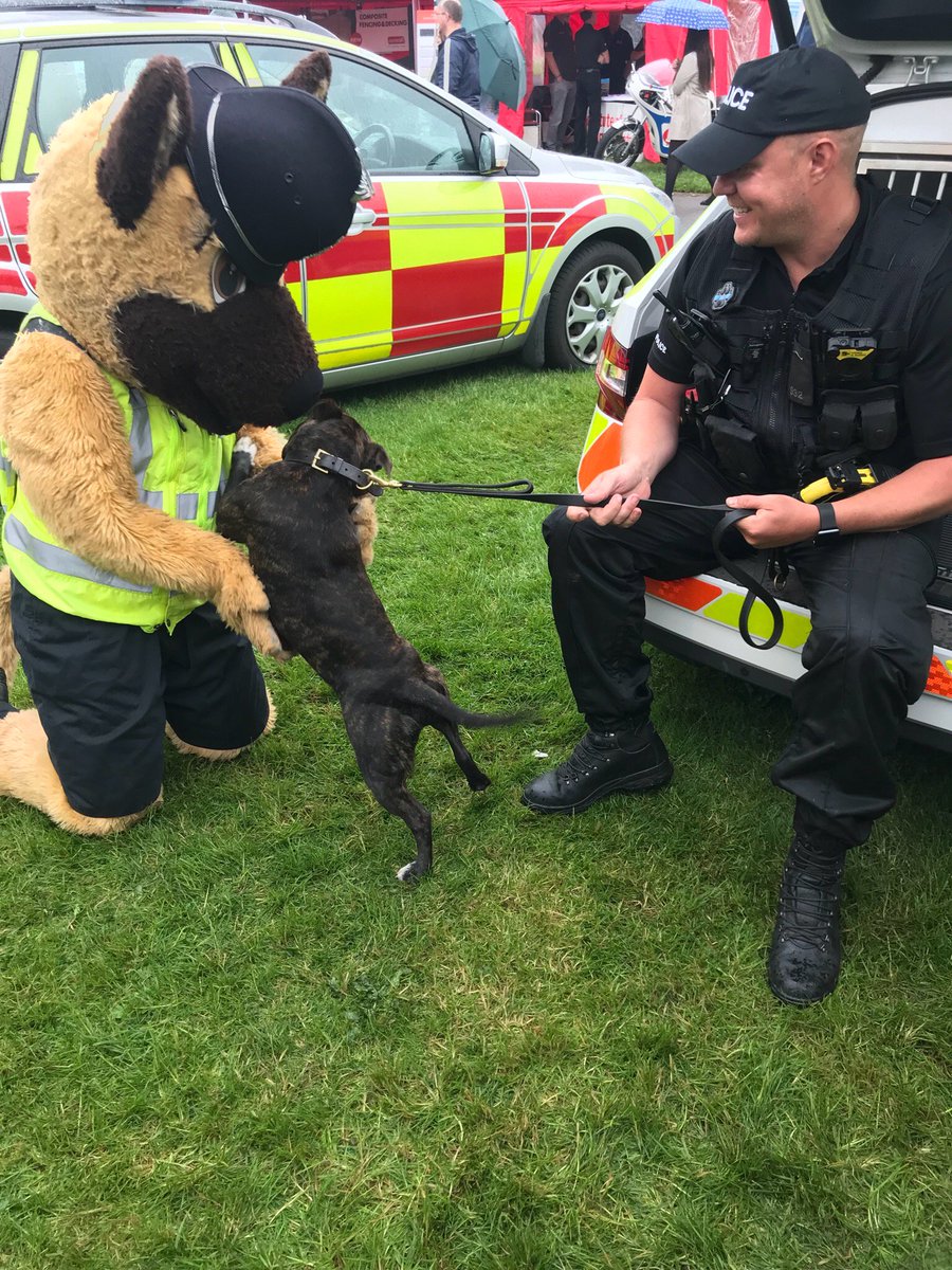 StaffsPolice's tweet photo. When Kash the dog meets @policedogcooper 🤗 #countyshow2018 come and say Hello 👋 https://t.co/JaGaIpjBzK