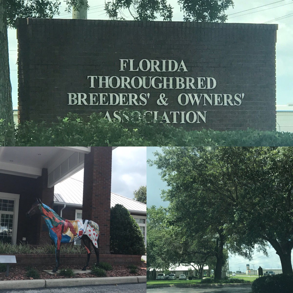 Robert Donaldson tweet media