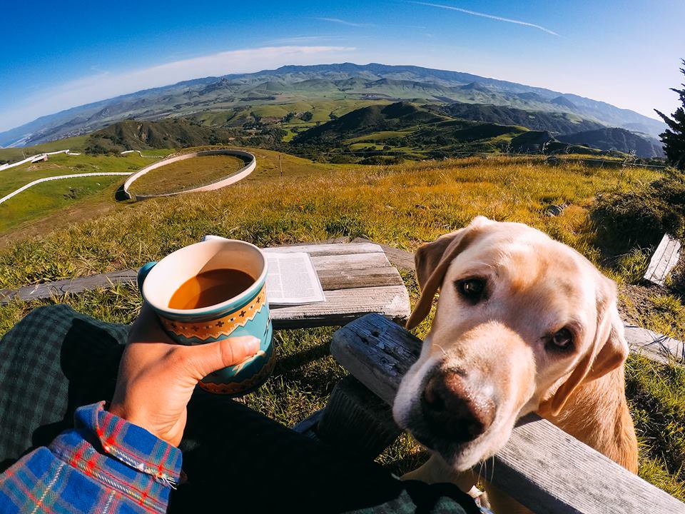 dogs_father's tweet photo. @dog_feelings Goooob morning https://t.co/bNOEUzKOOV